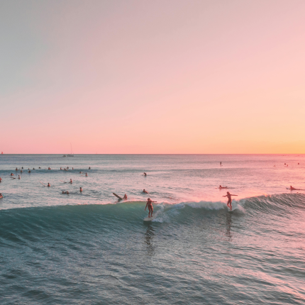 Surfers in the ocean